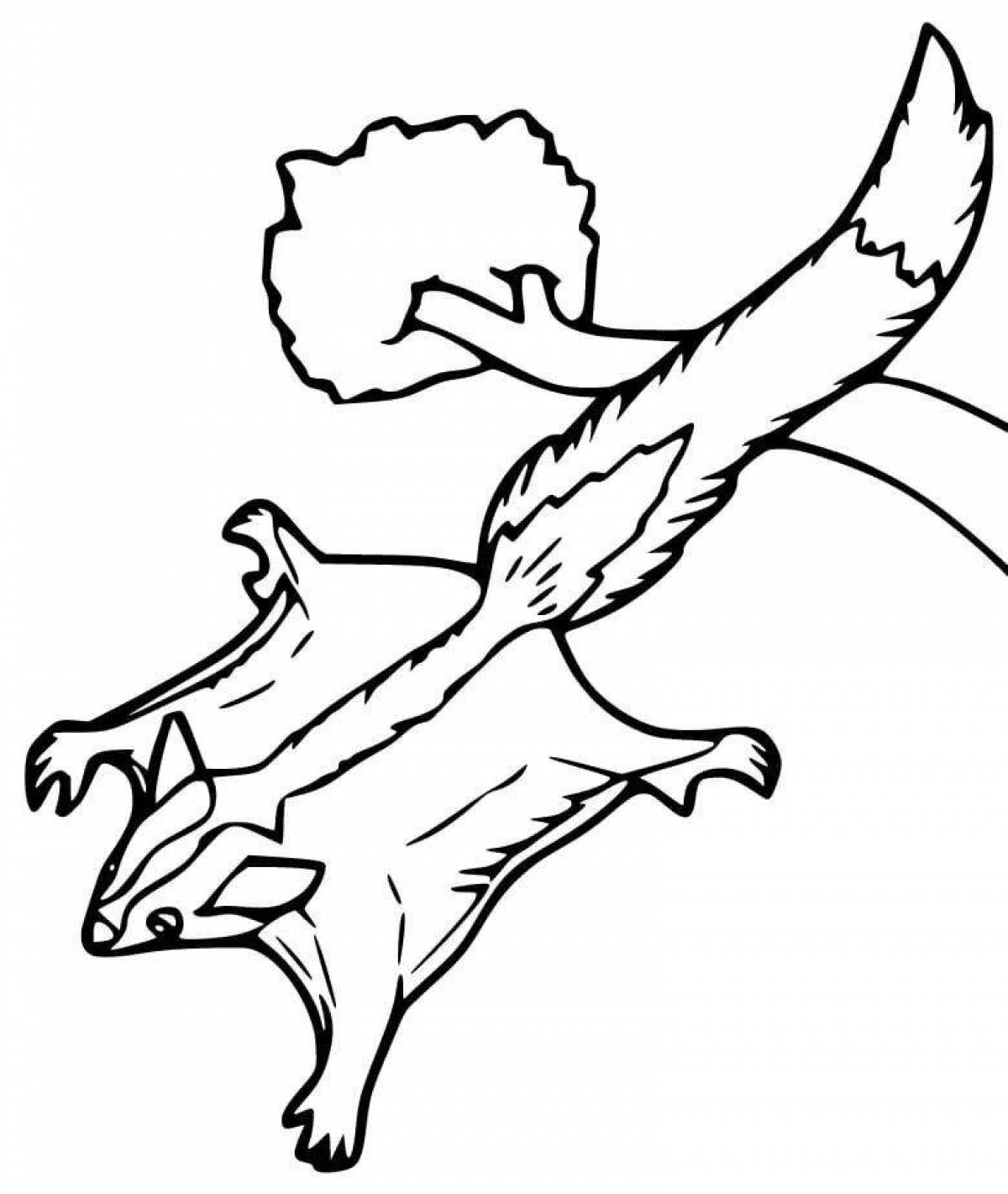 Flying squirrel coloring page