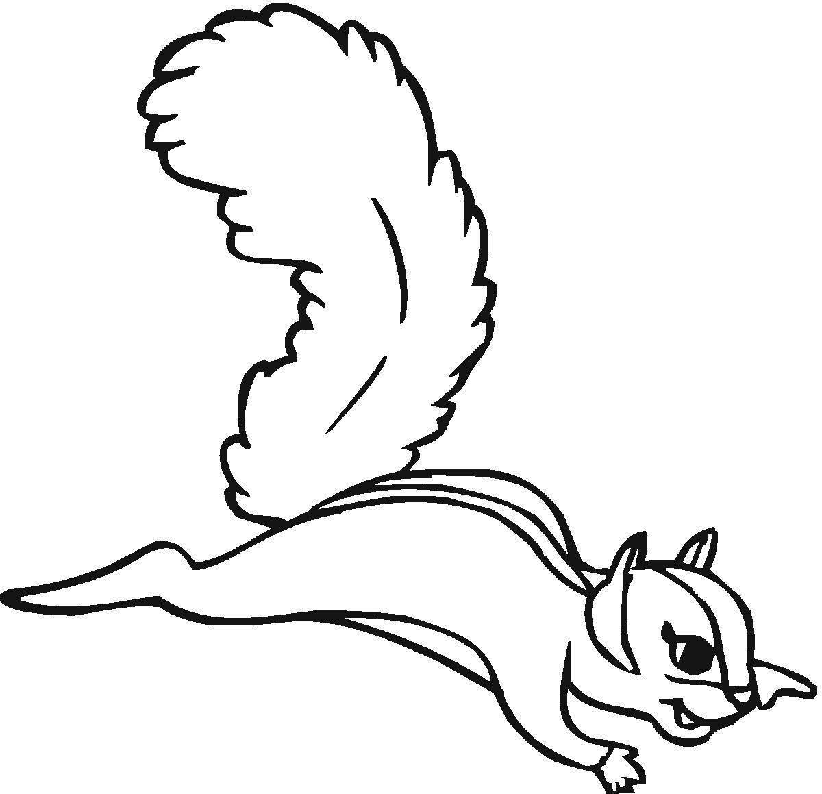 Rampant flying squirrel coloring page