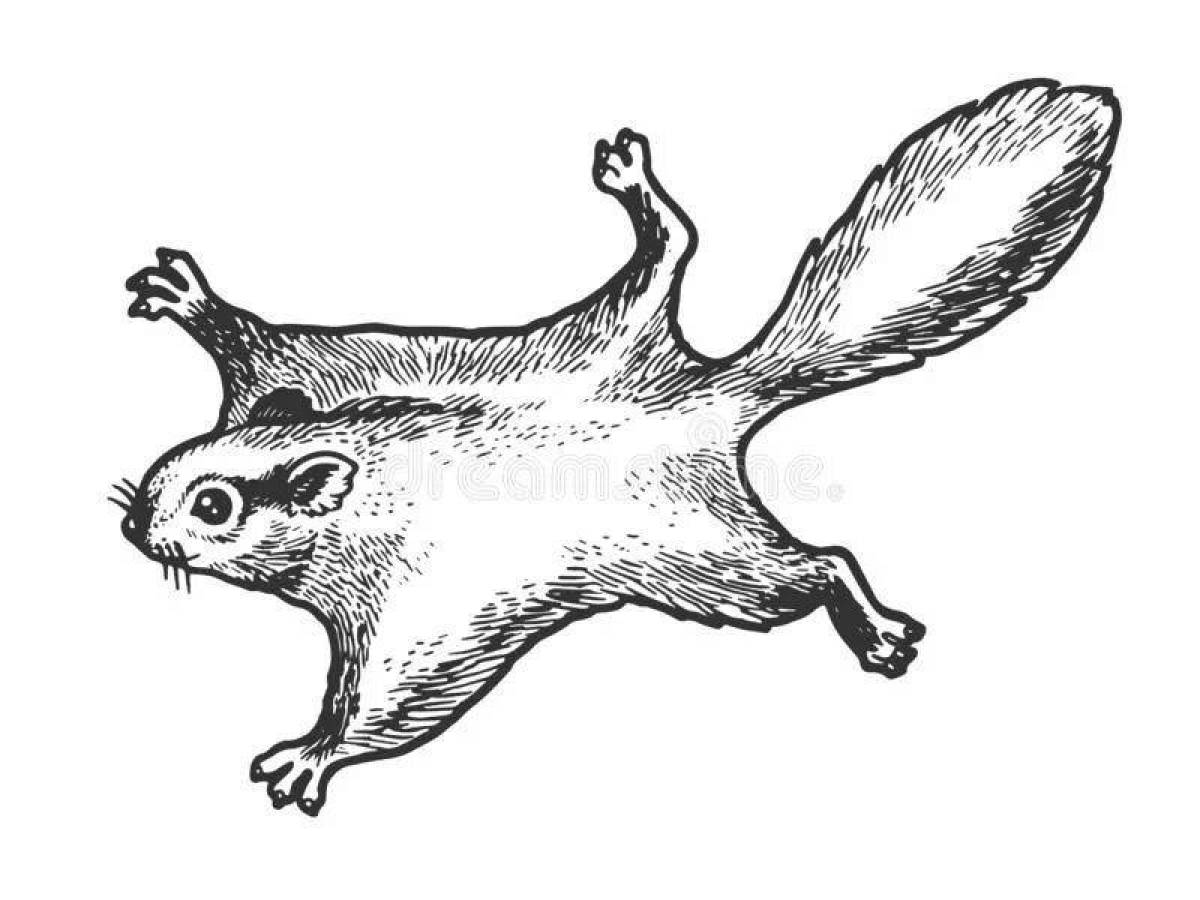 Funny flying squirrel coloring book