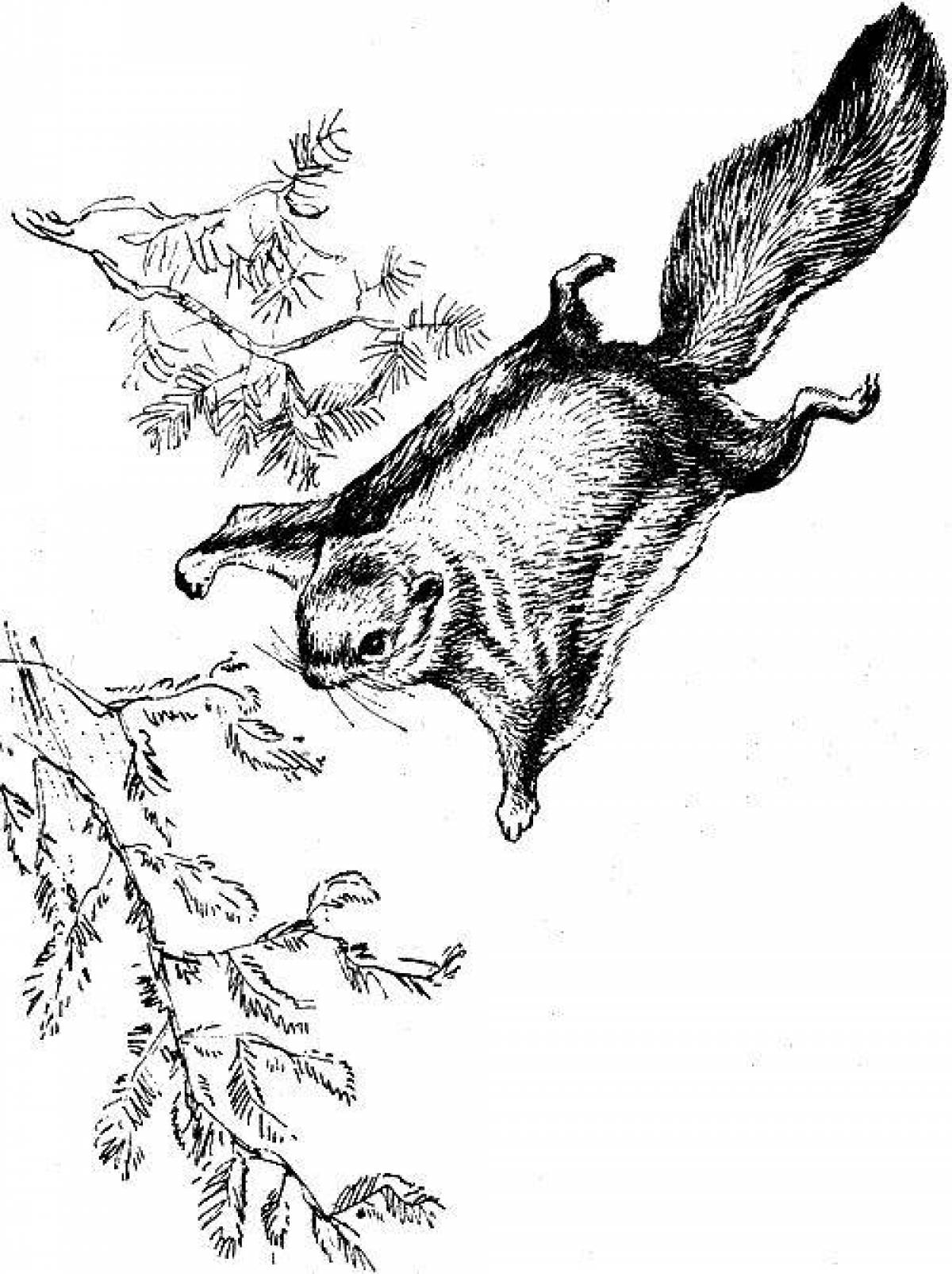 Adorable flying squirrel coloring book