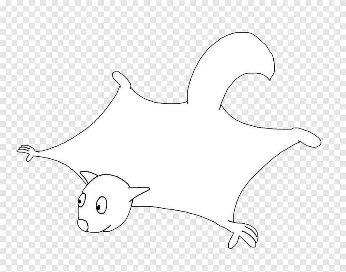 Coloring book shining flying squirrel