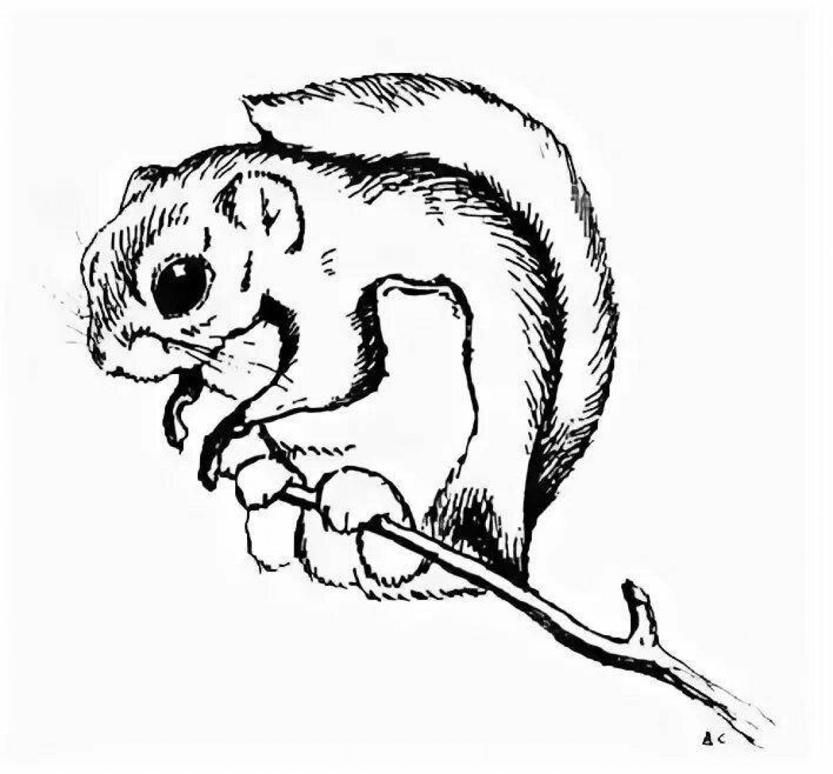 Luminous flying squirrel coloring page