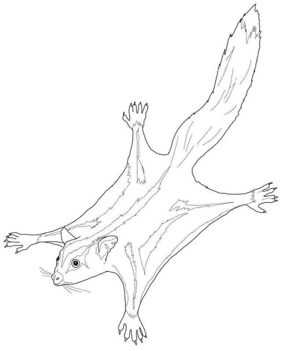 Magic flying squirrel coloring page