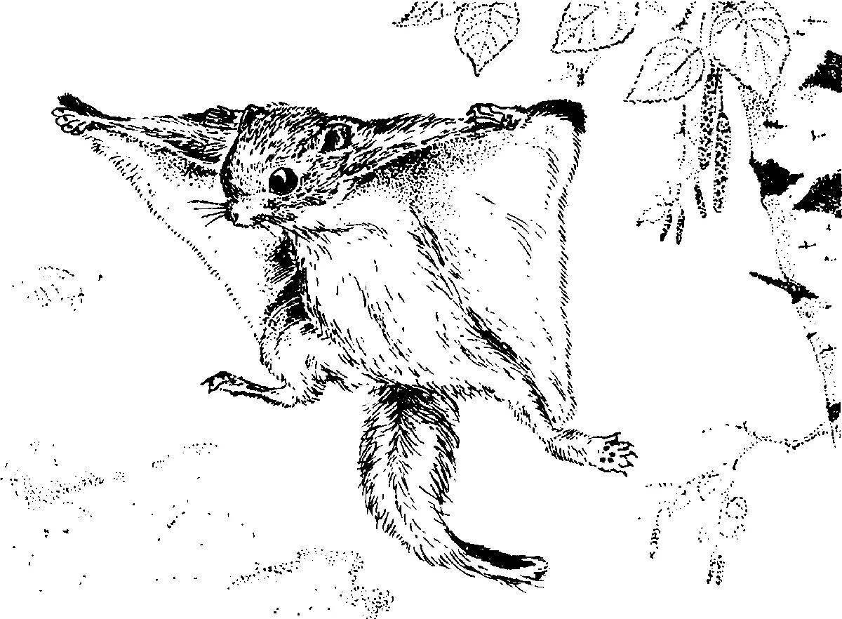 Mystical flying squirrel coloring page