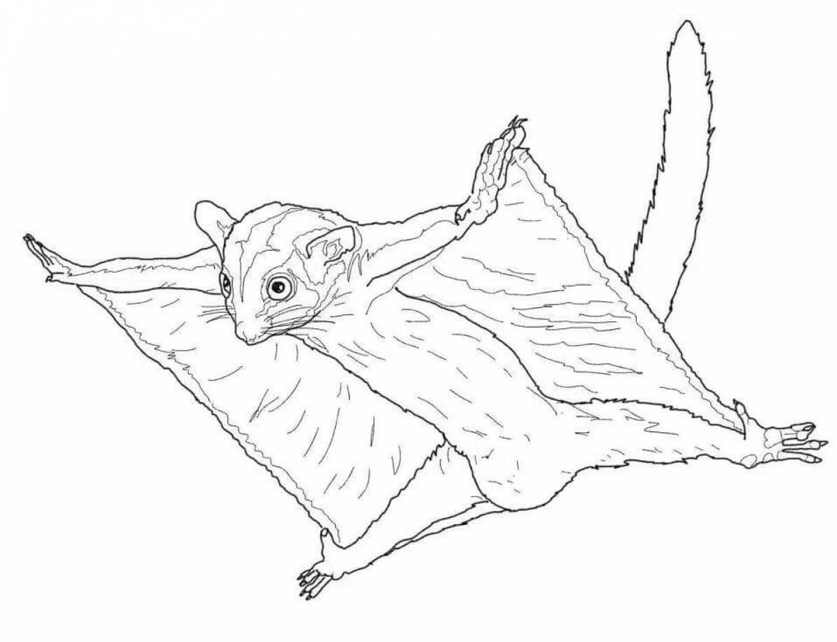 Fairy flying squirrel coloring page
