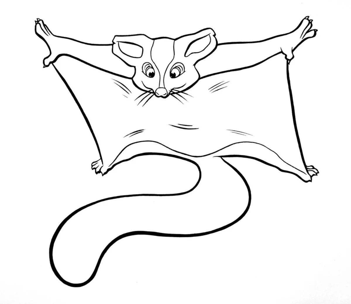 Incredible flying squirrel coloring book