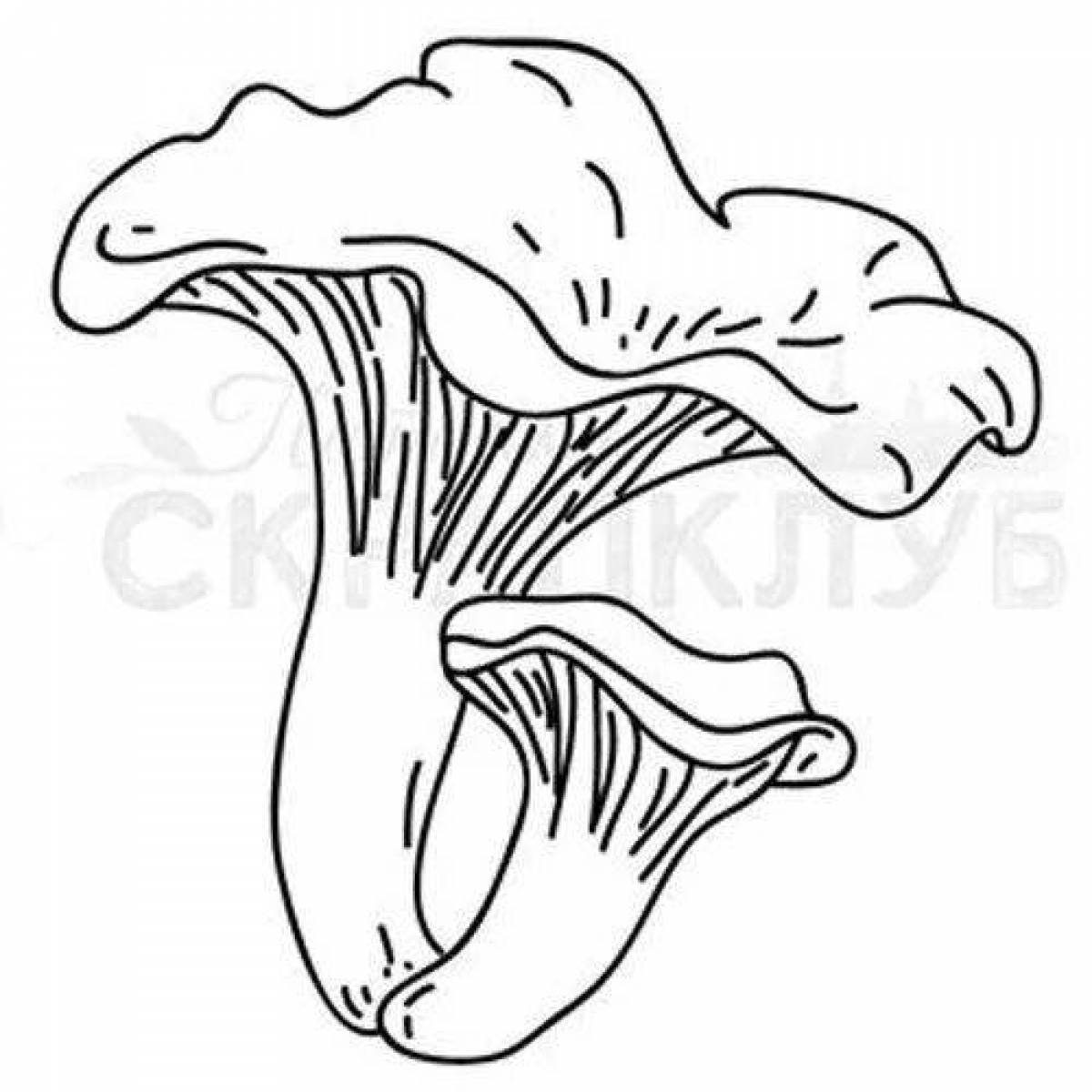 Colorful chanterelle mushroom coloring page