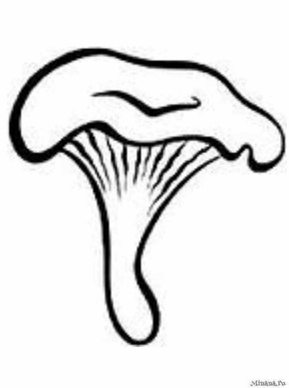 Chanterelle mushroom animated coloring page