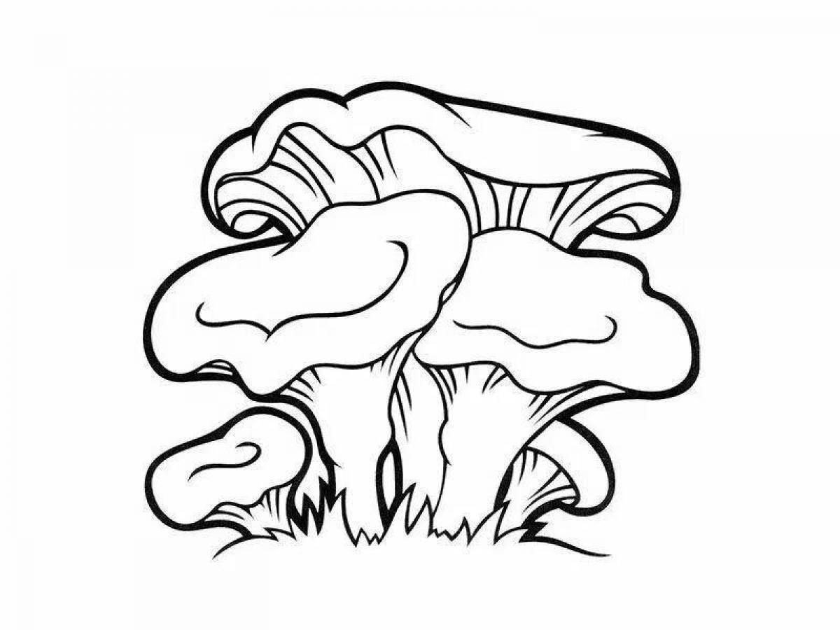 Coloring book glowing chanterelle mushrooms
