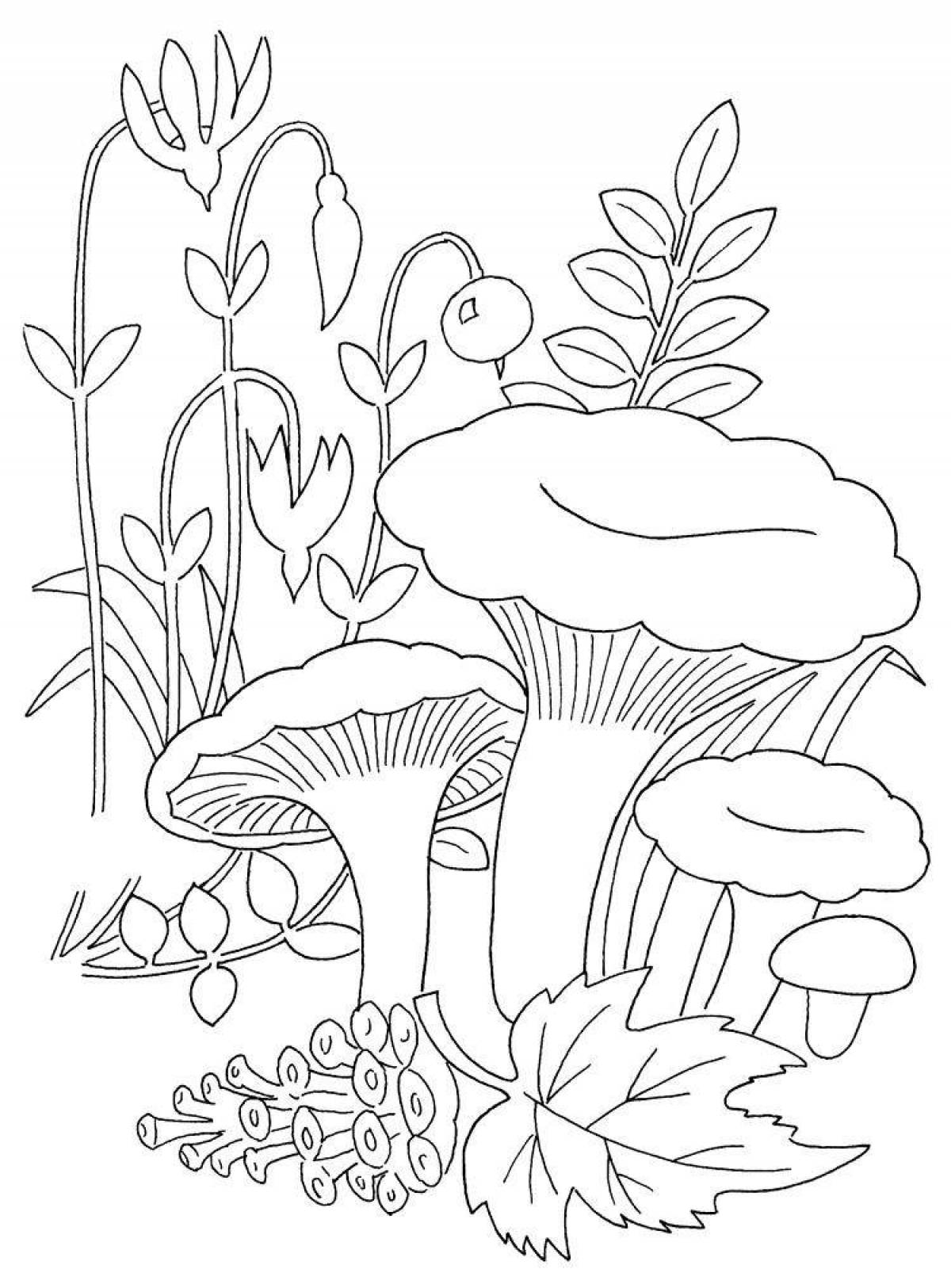 Coloring mushroom chanterelle