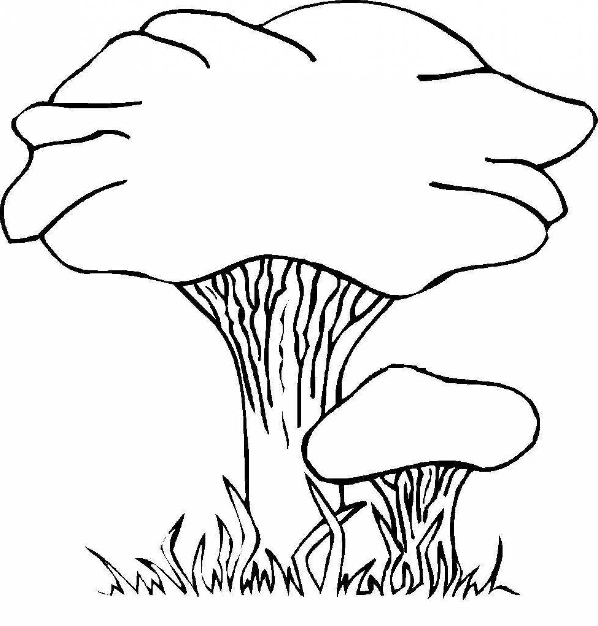 Coloring big chanterelle mushroom