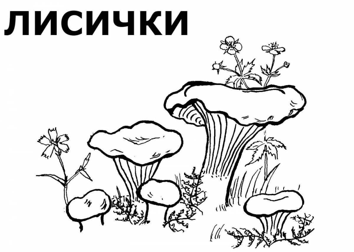 Coloring page elegant chanterelle mushroom