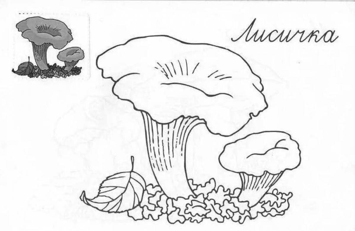 Adorable chanterelle mushroom coloring page