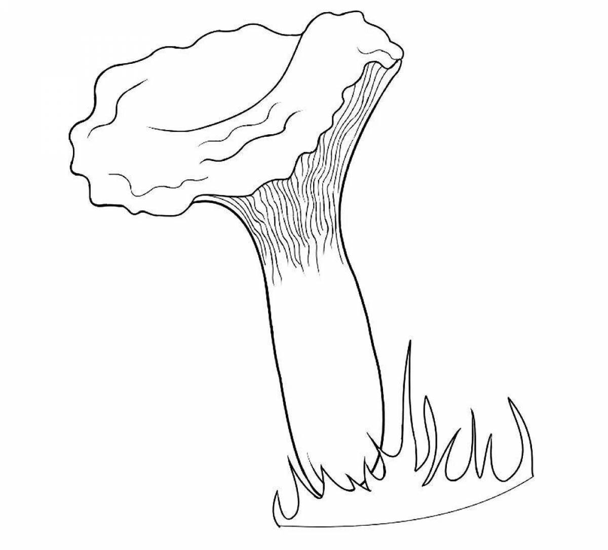 Adorable chanterelle mushroom coloring book