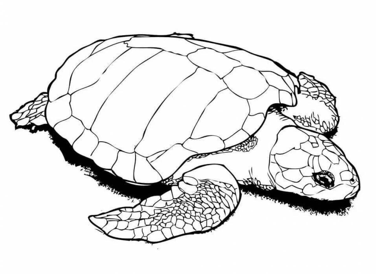 Славная страница раскраски морской черепахи
