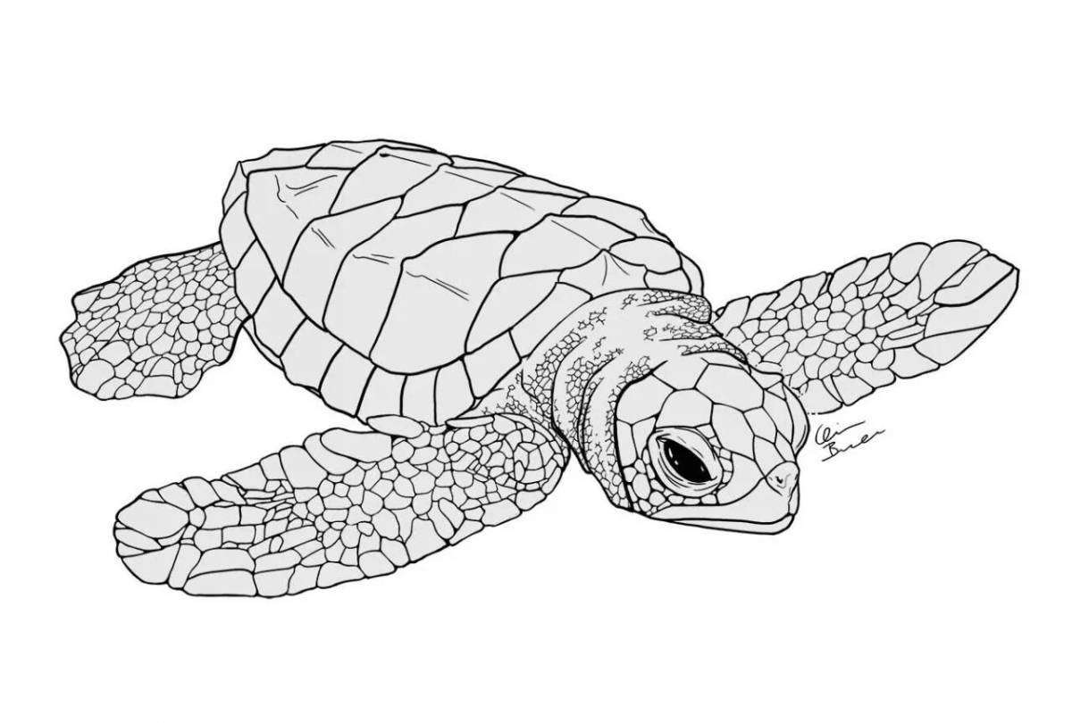 Изысканная раскраска морской черепахи