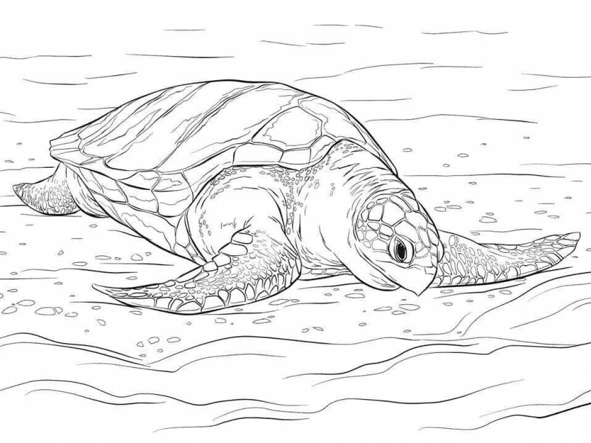 Восхитительная страница раскраски морской черепахи