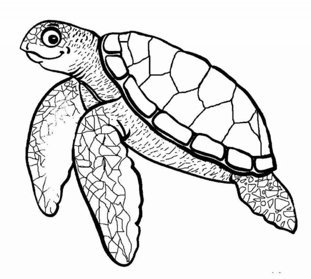 Увлекательная раскраска морской черепахи