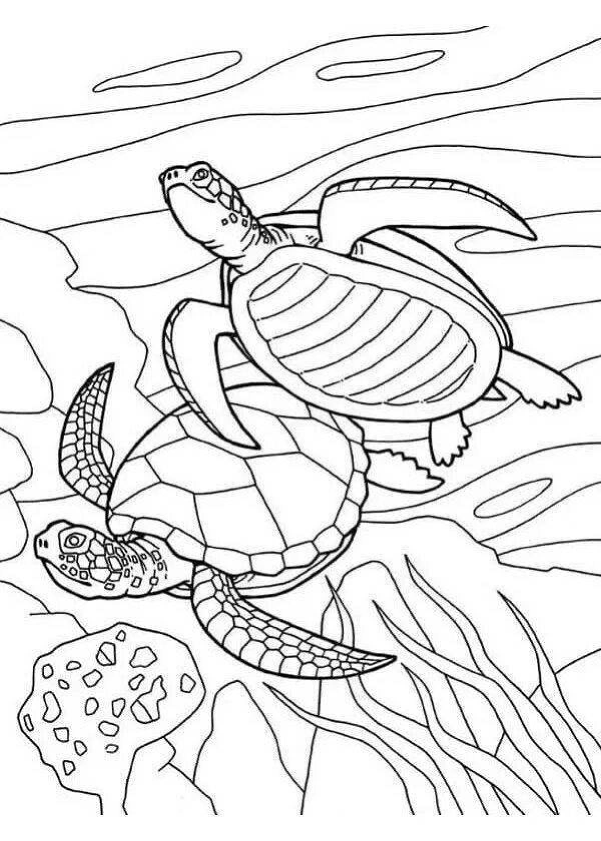 Красивая страница раскраски морской черепахи