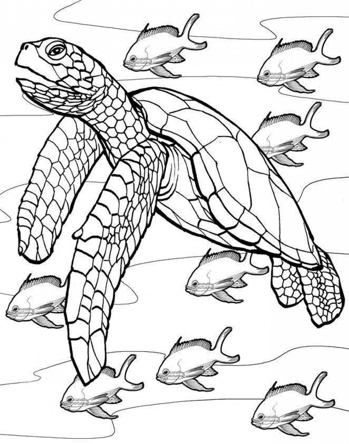 Generous sea turtle coloring page