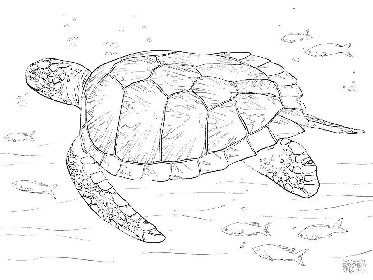 Coloring page dazzling sea turtle