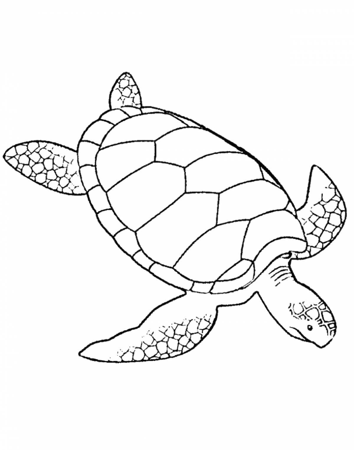 Coloring page happy sea turtle