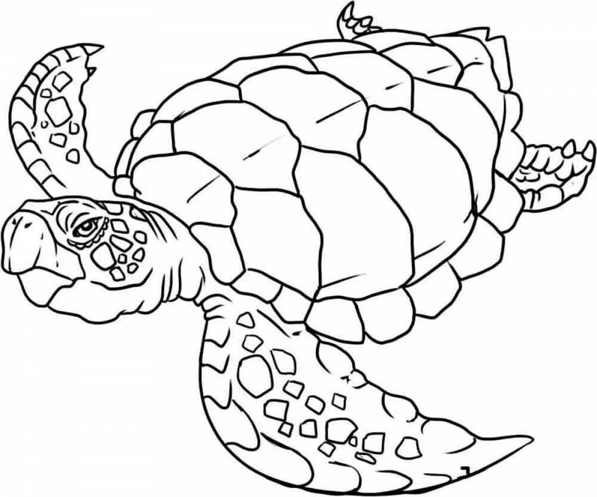 Coloring live sea turtle
