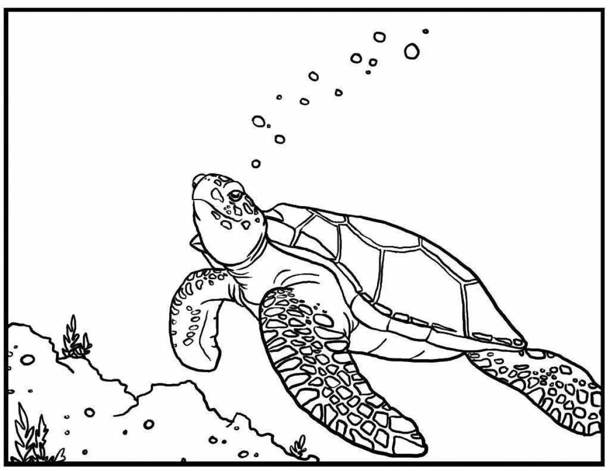 Colorful sea turtle coloring page