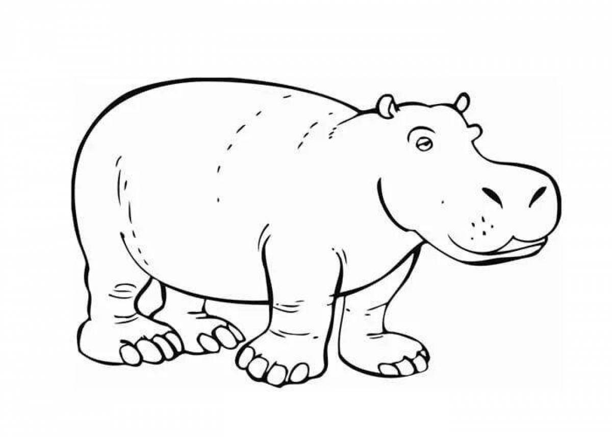 Fun zoo coloring book for 6-7 year olds