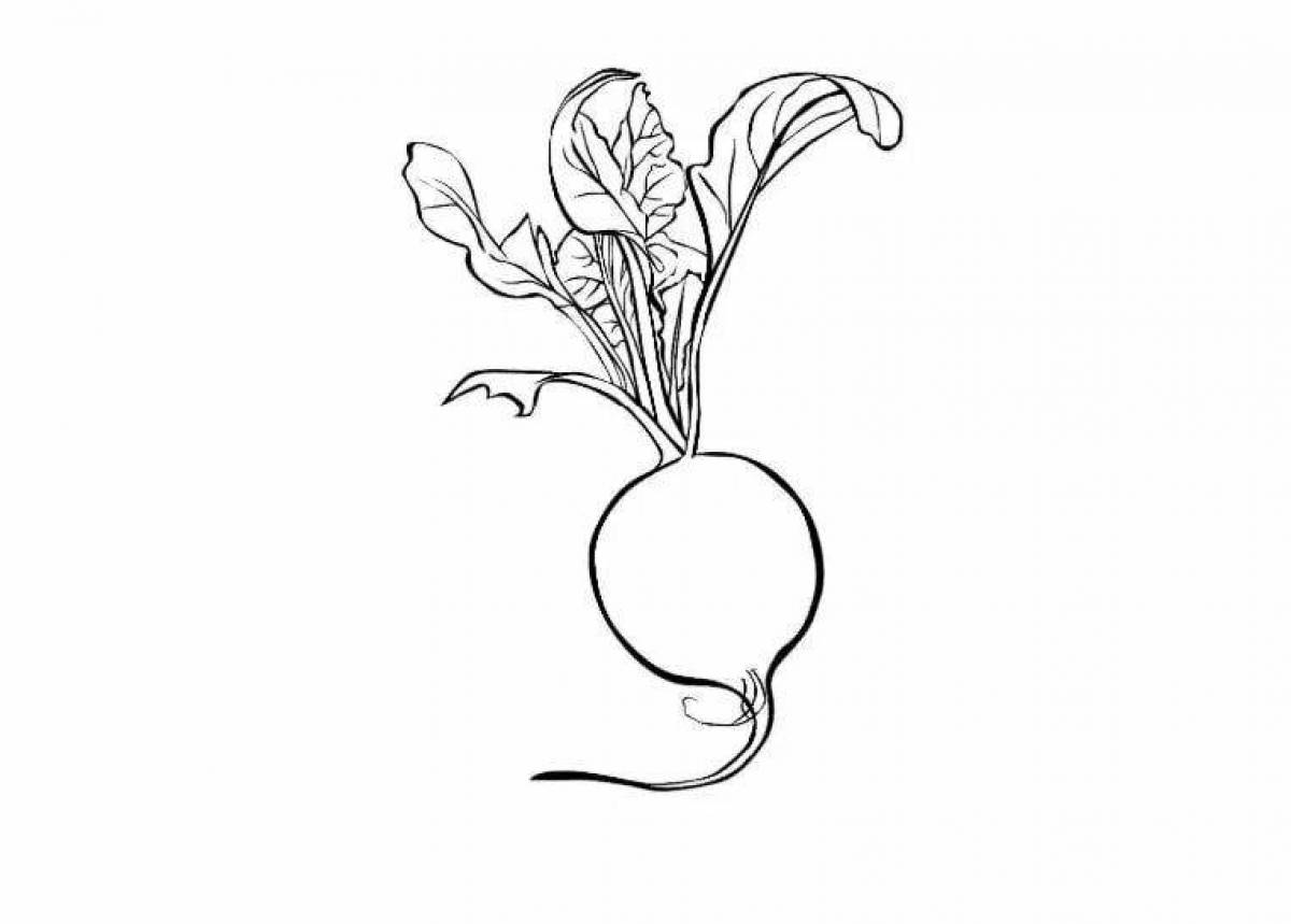 Colorful radish coloring page