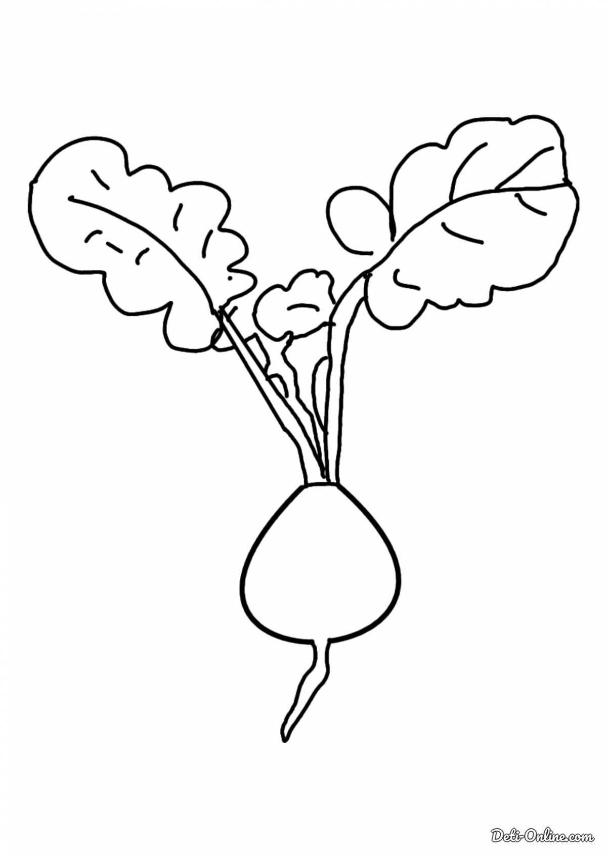 Clear radish coloring page