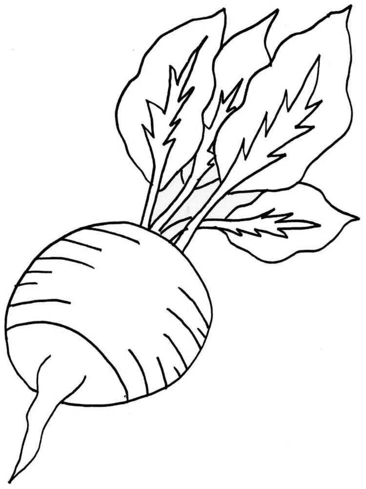 Раскраска спелый редис