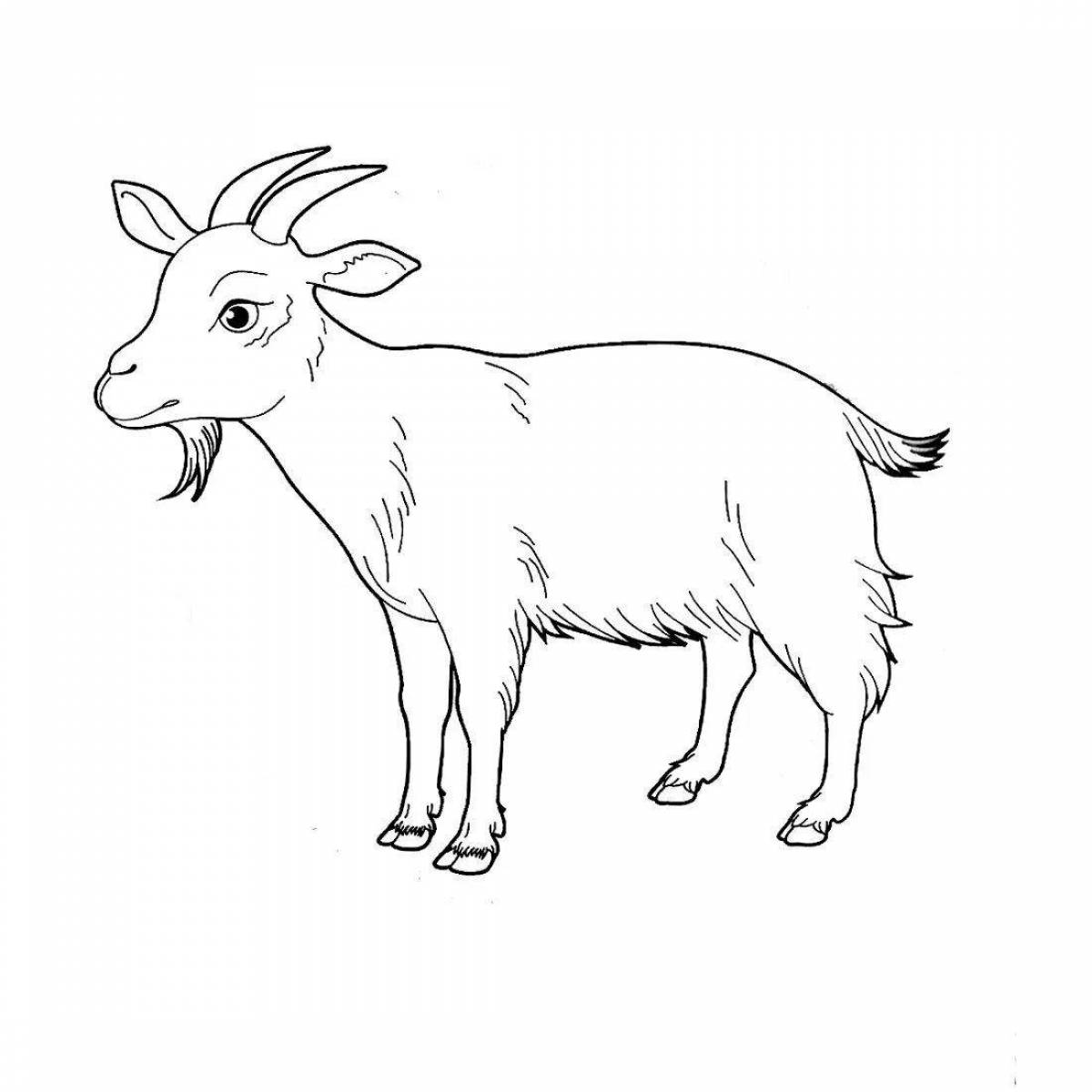 Playful coloring goat