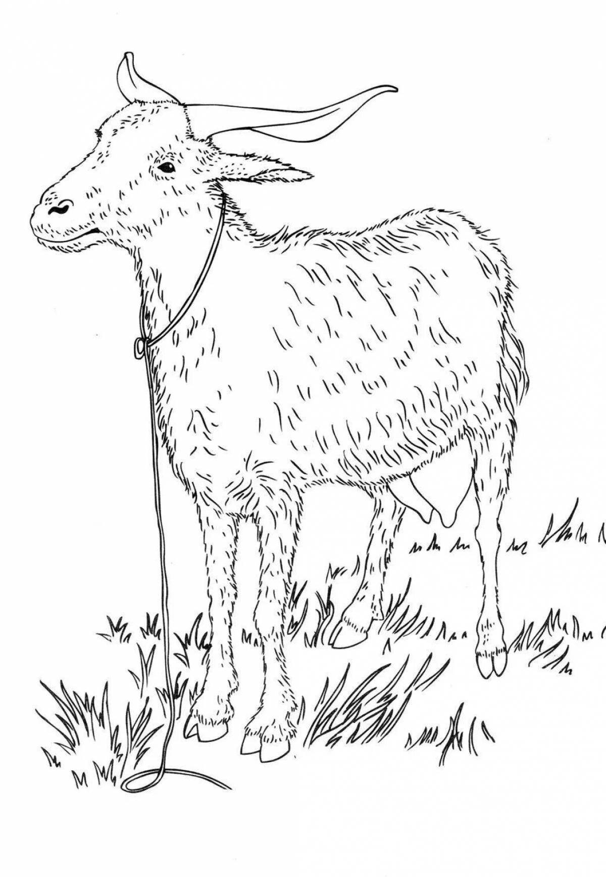 Резвящаяся раскраска коза