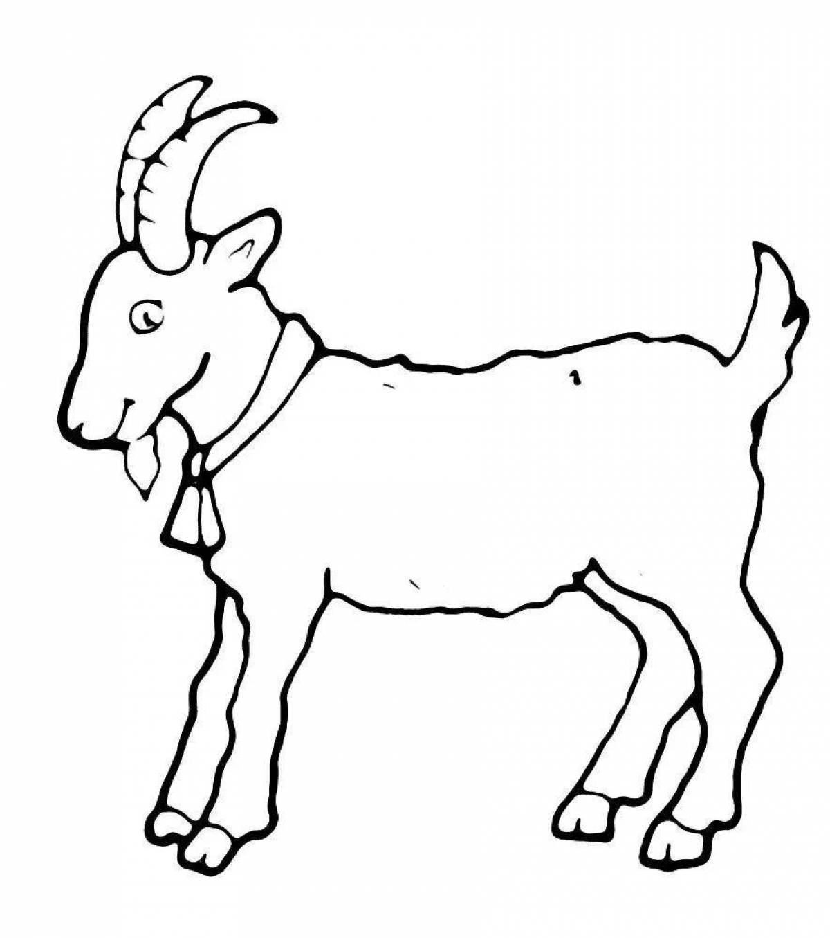 Friendly coloring goat