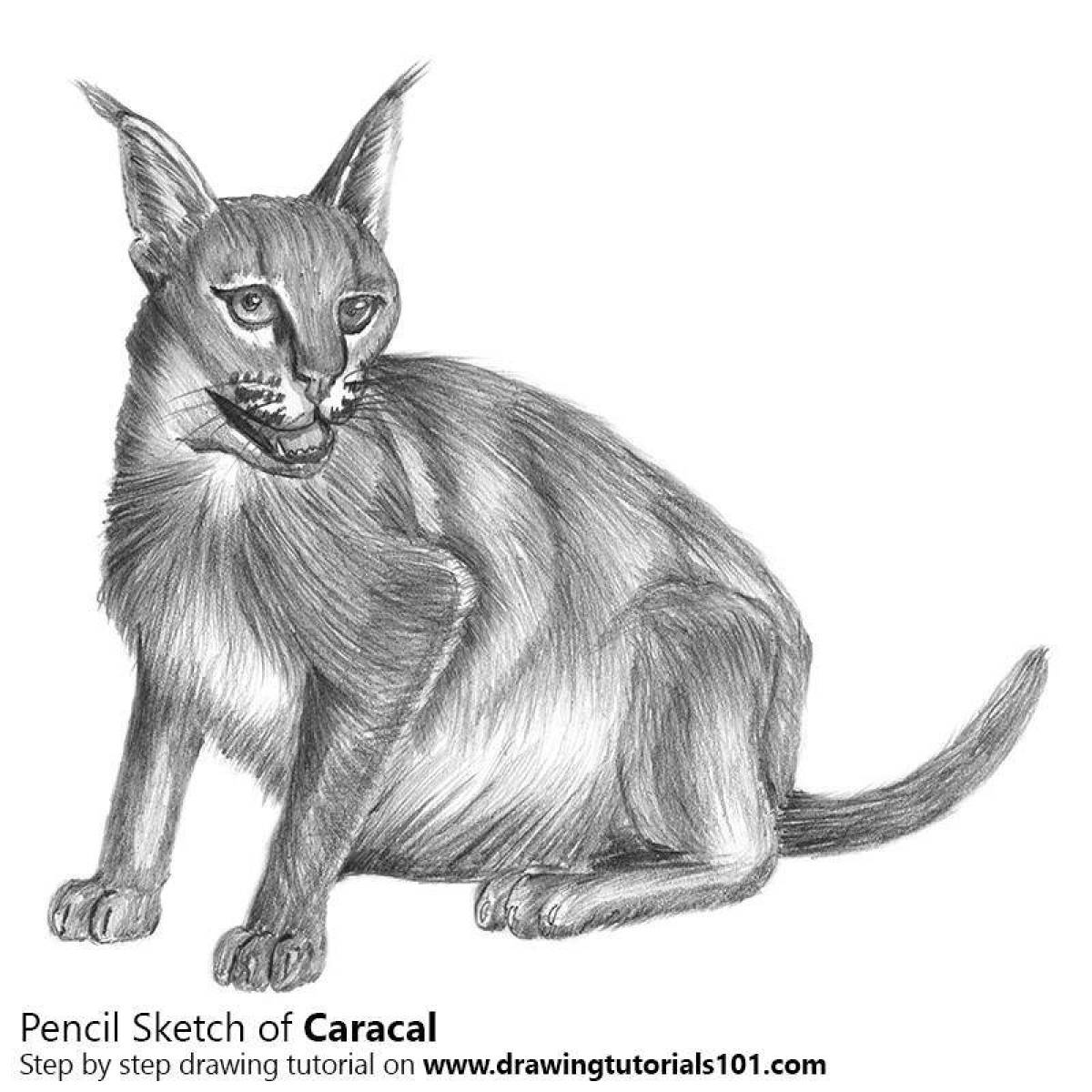 Vibrant caracal coloring page