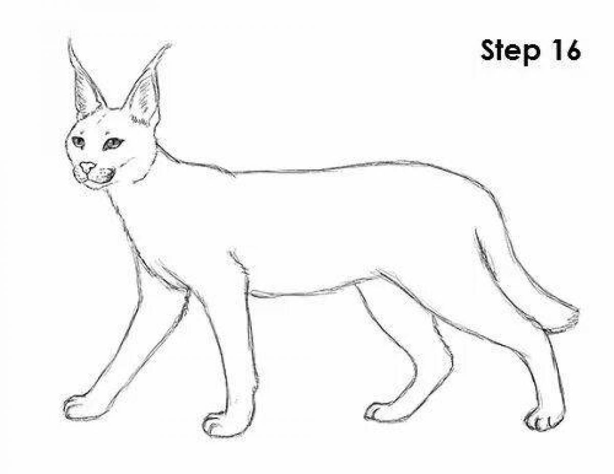 Amazing caracal coloring page