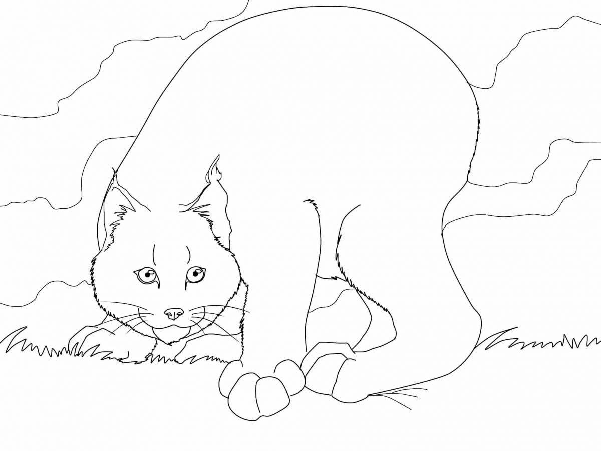Dazzling caracal coloring page