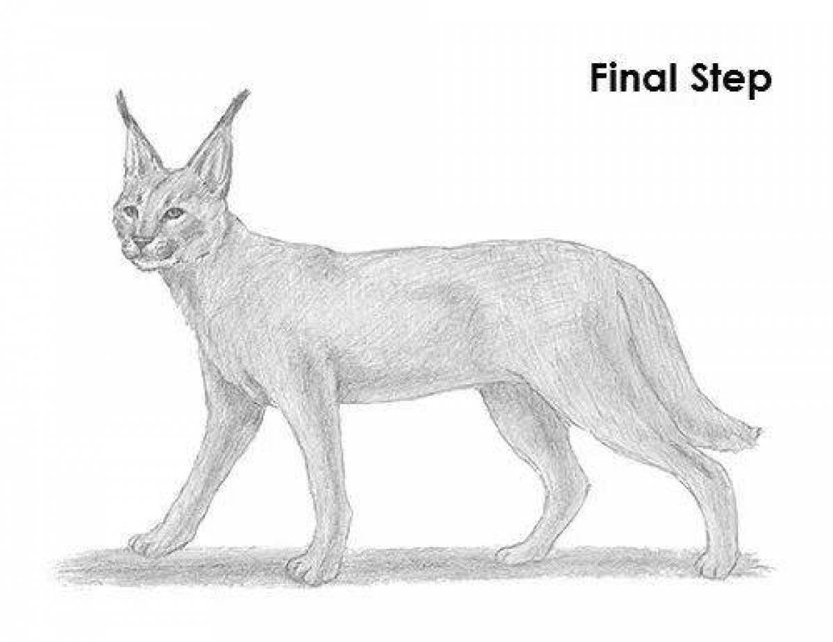 Flawless Caracal coloring page