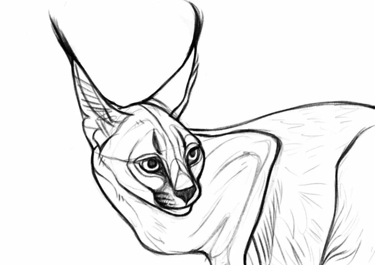 Amazing caracal coloring page