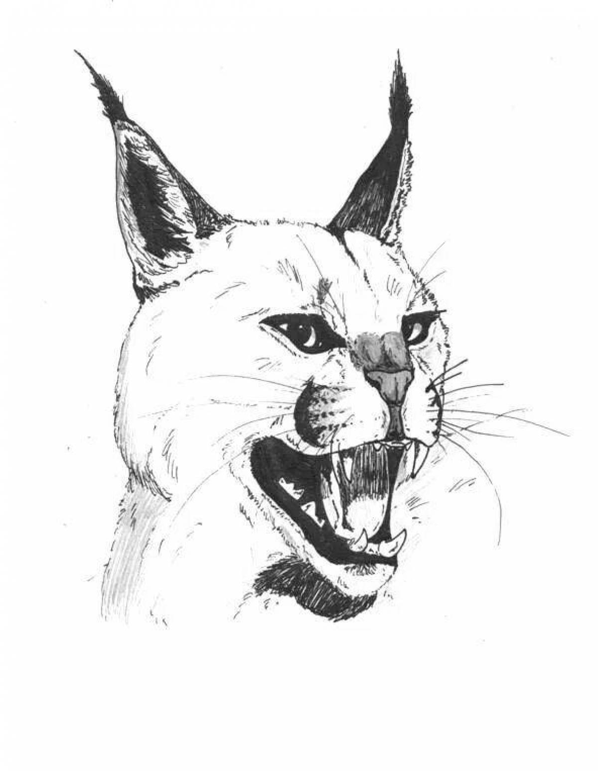 Glittering caracal coloring page