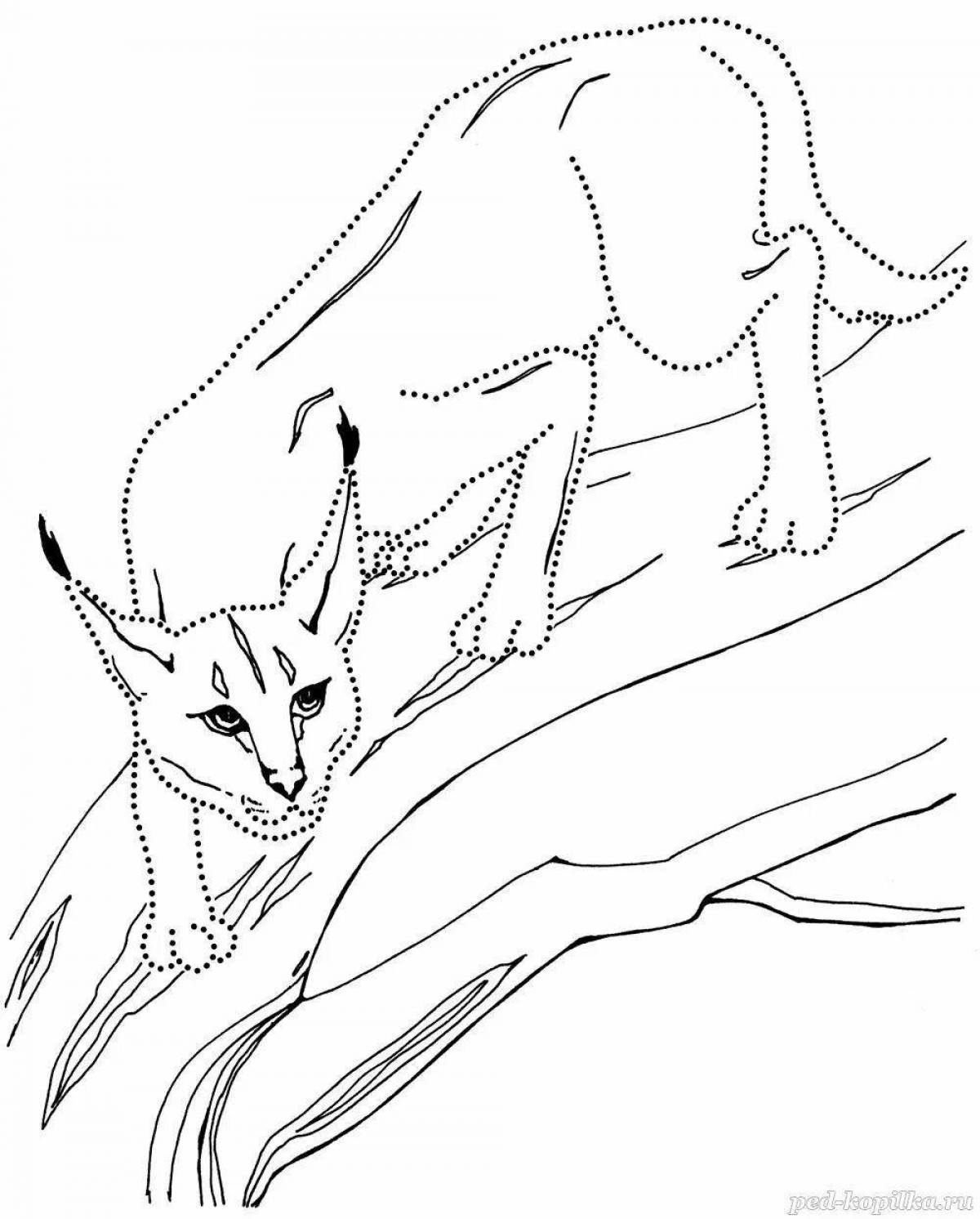 Coloring book unforgettable caracal