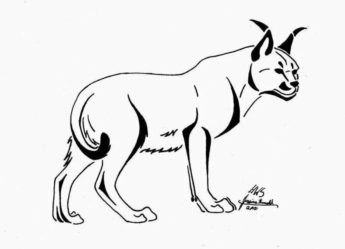 Unusual caracal coloring book