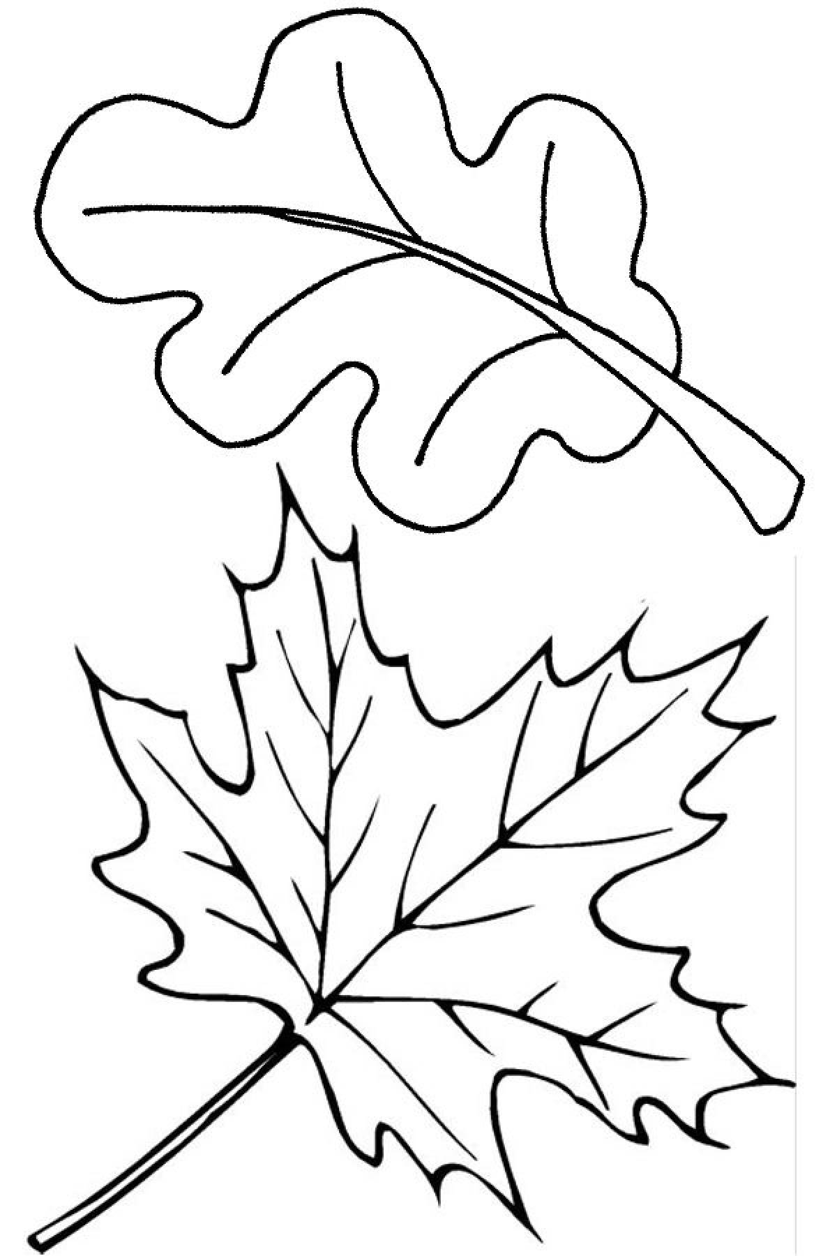 Листья деревьев раскраска