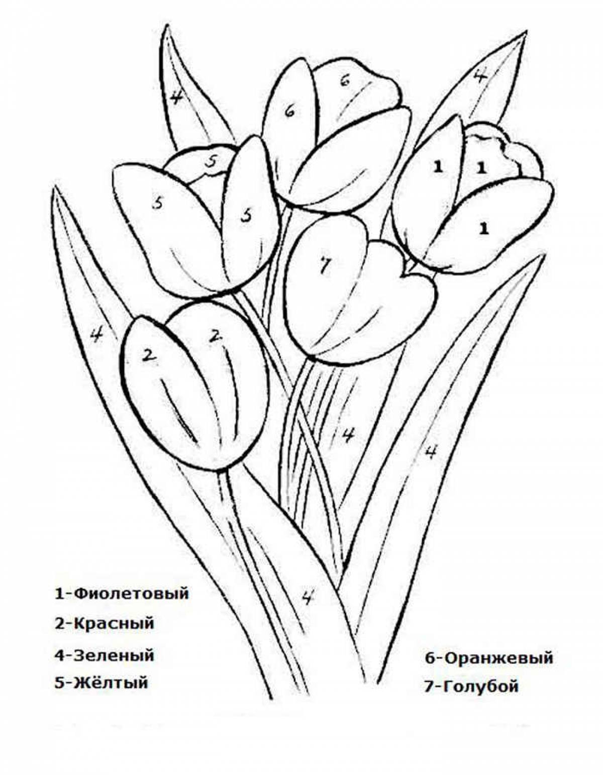 Букет тюльпанов раскраска