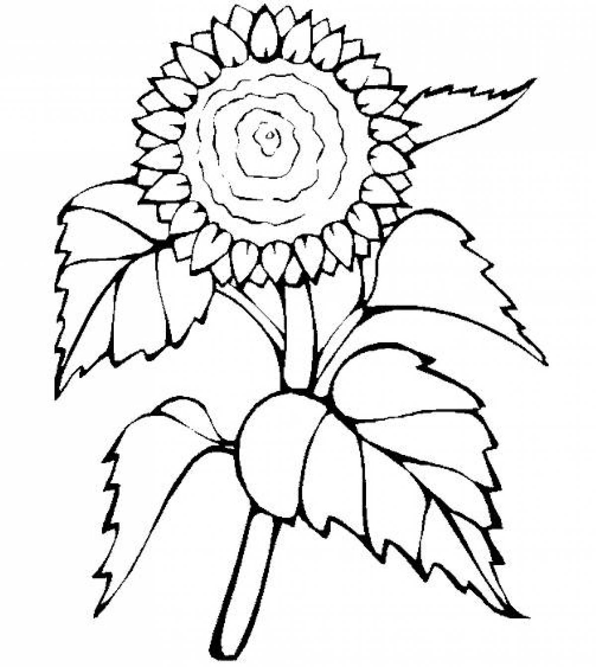 Sunflower Seeds чертеж