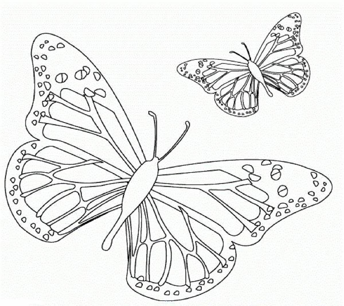 Большая бабочка раскраска