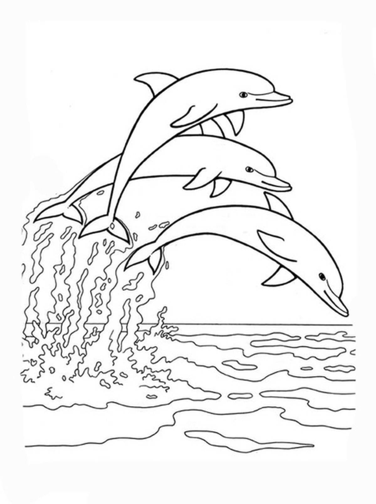 Раскраска водой картинка. Раскраска Дельфин. Раскраска "дельфины". Разукрашка Дельфинчик. Дельфин раскраска для детей.