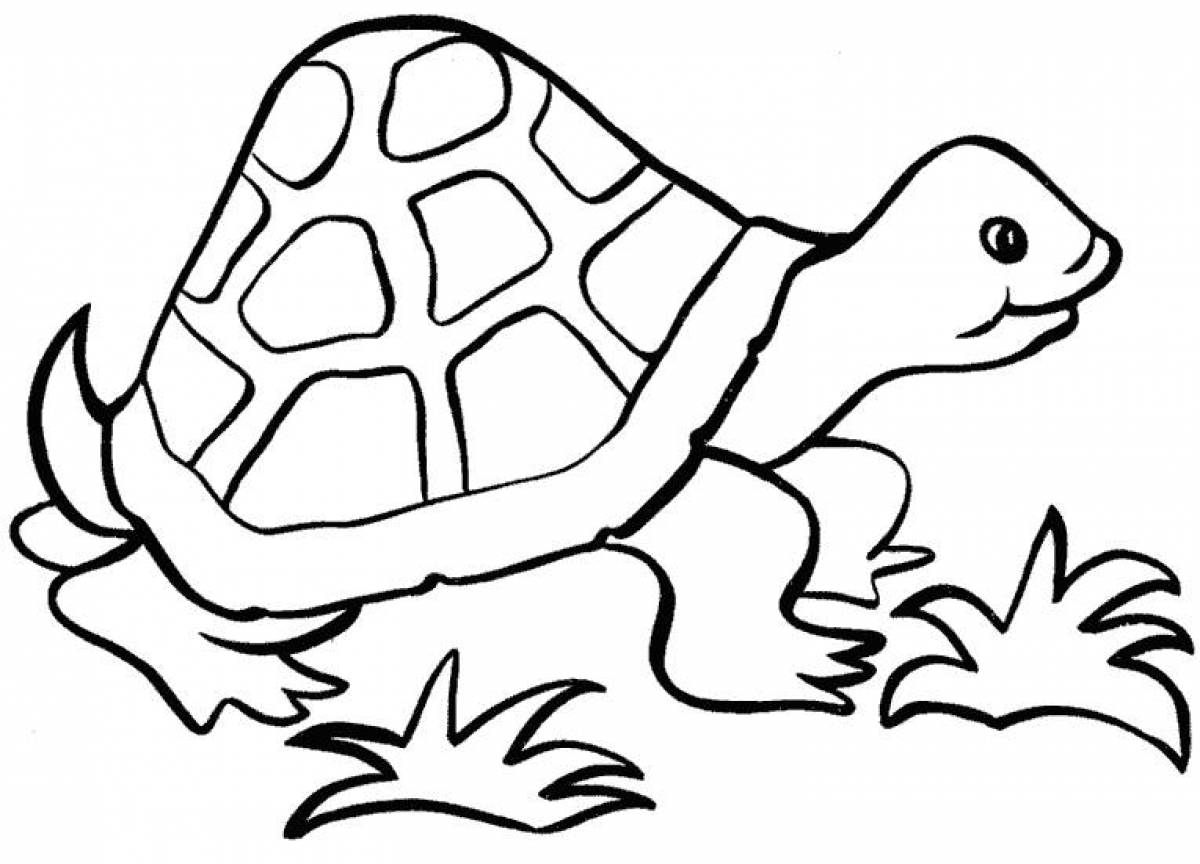 Adult turtle coloring book