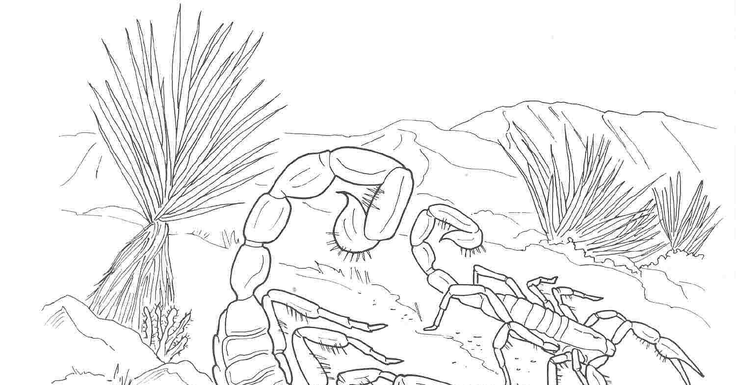Scorpions in the desert